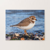 Schöner, gedämpfter Plover am Strand Puzzle (Horizontal)