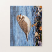 Schöner, gedämpfter Plover am Strand Puzzle (Vertikal)
