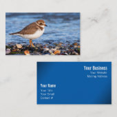 Schöner, gedämpfter Plover am Strand Visitenkarte (Vorne/Hinten)
