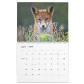 Schöner Geist des Fox 2021-Wall-Kalenders Kalender (Mär 2026)