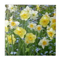 Schöner, gelber Baumgarten