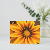 Schöner gelber Gazania Postkarte (Stehend Vorderseite)