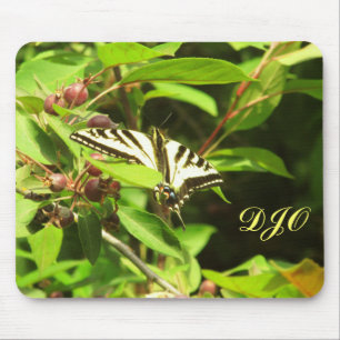 Schöner gelber schwarzer Schmetterling auf Zierapf Mousepad
