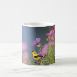 Schöner gelber Vogel in den Blumen Kaffeetasse