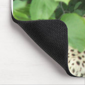 Schöner Gepard Mousepad (Ecke)