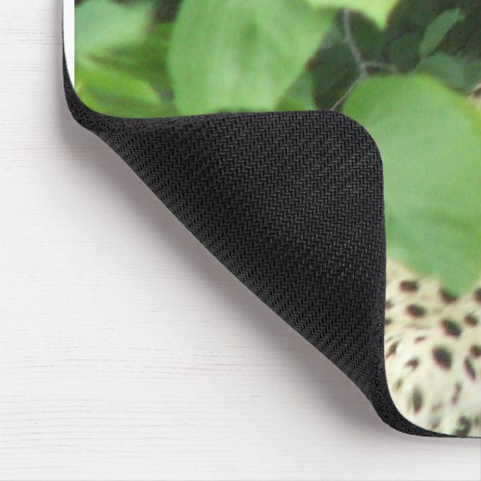 Schöner Gepard Mousepad (Ecke)