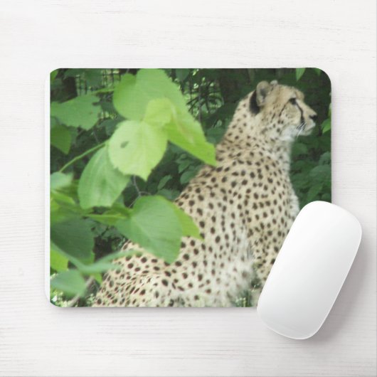 Schöner Gepard Mousepad (Mit Mouse)