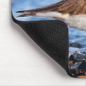 Schöner, gepflasterter Plover am Strand Mousepad (Ecke)