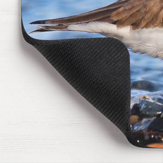 Schöner, gepflasterter Plover am Strand Mousepad (Ecke)