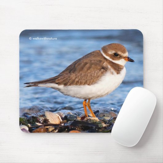 Schöner, gepflasterter Plover am Strand Mousepad (Mit Mouse)