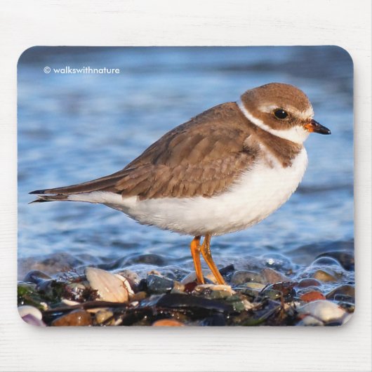 Schöner, gepflasterter Plover am Strand Mousepad (Vorne)