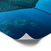 Schöner Gepunkteter Ray: Ungestörtheit unter Wasse Poster (Ecke)