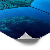 Schöner Gepunkteter Ray: Ungestörtheit unter Wasse Poster (Ecke)