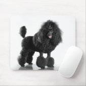 Schöner, getrimmter, schwarzer, kompletter Poodle  Mousepad (Mit Mouse)