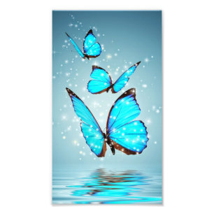 schöner glänzender blauer Schmetterling Fotodruck