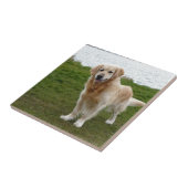 Schöner Golden Retriever Dog Stehend Fliese (Seite)