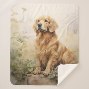 Schöner Golden Retriever Sherpadecke