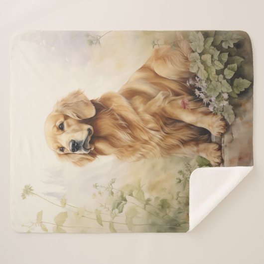 Schöner Golden Retriever Sherpadecke (Vorderseite (Horizontal))