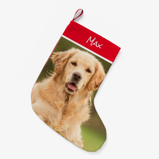 Schöner Golden Retriever Strumpf Kleiner Weihnachtsstrumpf (Vorderansicht (hängend))