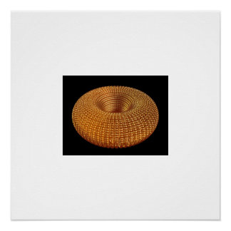 Schöner Golden Torus Poster