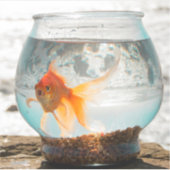 Schöner Goldfisch in Schüssel am Ozean Aufkleber (Vorderseite)