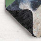 Schöner grau-weißer Pelegrine Falke Mousepad (Ecke)