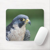 Schöner grau-weißer Pelegrine Falke Mousepad (Mit Mouse)
