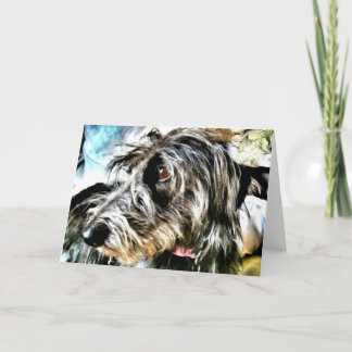 Schöner grauer Lurcher Karte