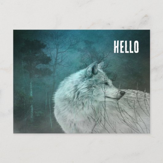 Schöner grauer Wolf in einem dunklen Wald Postkarte (Vorderseite)