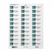 Schöner grauer Wolf in einer dunklen Waldadresse (Vorne)