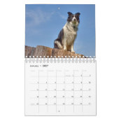 Schöner Grenz-Collie-Dog-Kalender Kalender (Jan 2027)