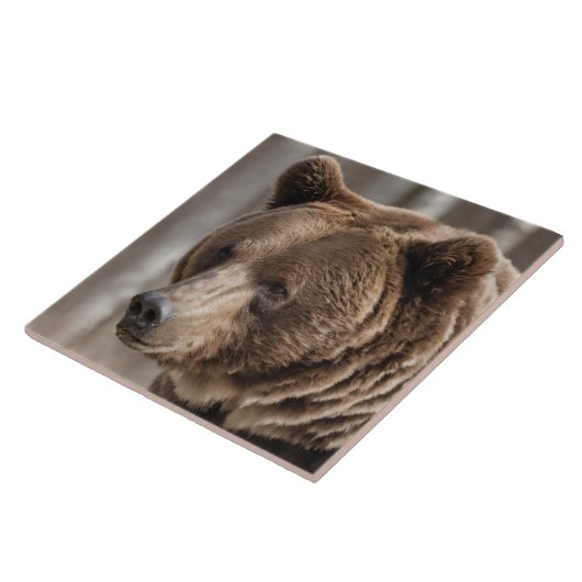 Schöner Grizzlybär Portrait Brown Bear Fliese (Seite)