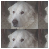 Schöner große Pyrenäen-Hund Stoff (Nahaufnahme)
