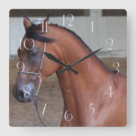 Schöner, grüner arabischer Hengst Quadratische Wanduhr
