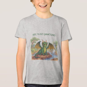 Schöner grüner Drache Tri-Blend Shirt