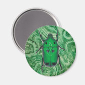 Schöner grüner Käfer auf Malachite Magnet (Vorderseite/Rückseite)