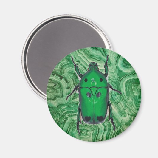 Schöner grüner Käfer auf Malachite Magnet (Vorderseite/Rückseite)