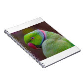 Schöner Grüner Vogel Notizblock (Rechte Seite)