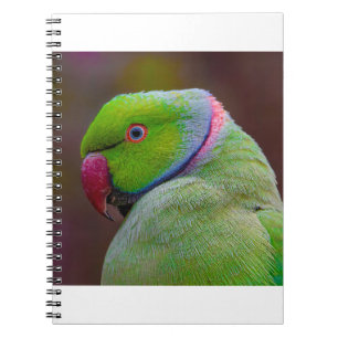 Schöner Grüner Vogel Notizblock