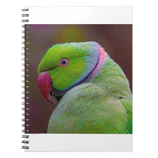 Schöner Grüner Vogel Notizblock (Vorderseite)