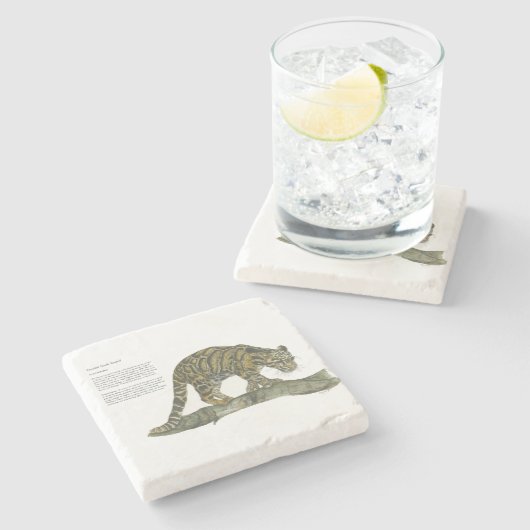 Schöner handgemalter, gefährdeter, getrübter Leopa Steinuntersetzer (Seitenansicht)