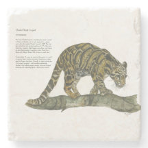 Schöner handgemalter, gefährdeter, getrübter Leopa