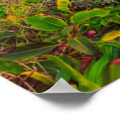 Schöner Hawaii Beach | Sun Sand & Green Paradise Poster (Ecke)