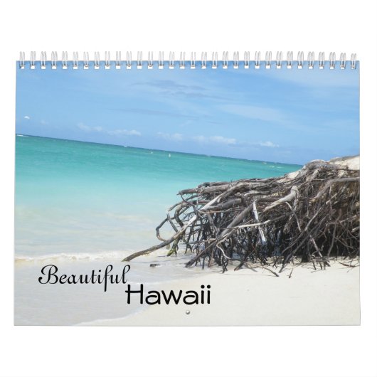 Schöner Hawaii-Kalender Kalender (Titelbild)