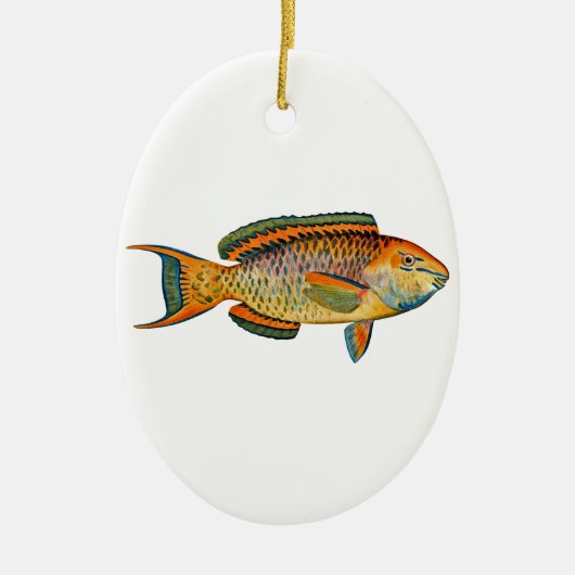Schöner Hawaiianischer Fisch - Regal Parrotfish Keramikornament (Vorne)