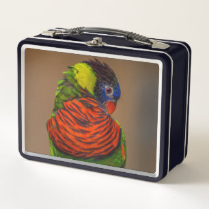 Schöner, heller, farbenfroher Papagei Metall Brotdose
