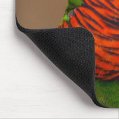 Schöner, heller, farbenfroher Papagei Mousepad (Ecke)