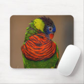 Schöner, heller, farbenfroher Papagei Mousepad (Mit Mouse)