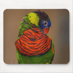 Schöner, heller, farbenfroher Papagei Mousepad
