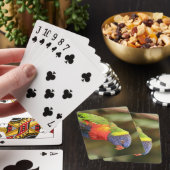 Schöner, heller, farbenfroher Papagei Spielkarten (In Situ)